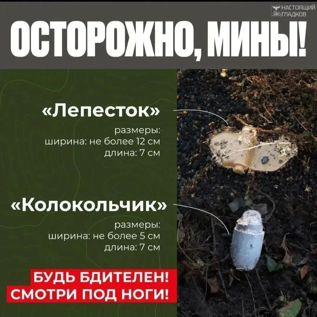 Памятка алгоритм действий при обнаружении подозрительных предметов, в том числе мин «Лепесток» и «Ко