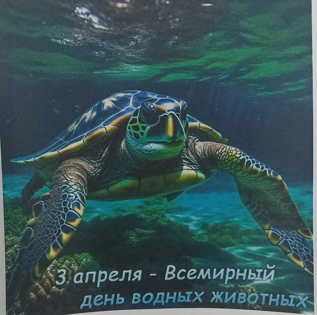 🪼🦀3 апреля - Всемирный день морских животных🐬🐠