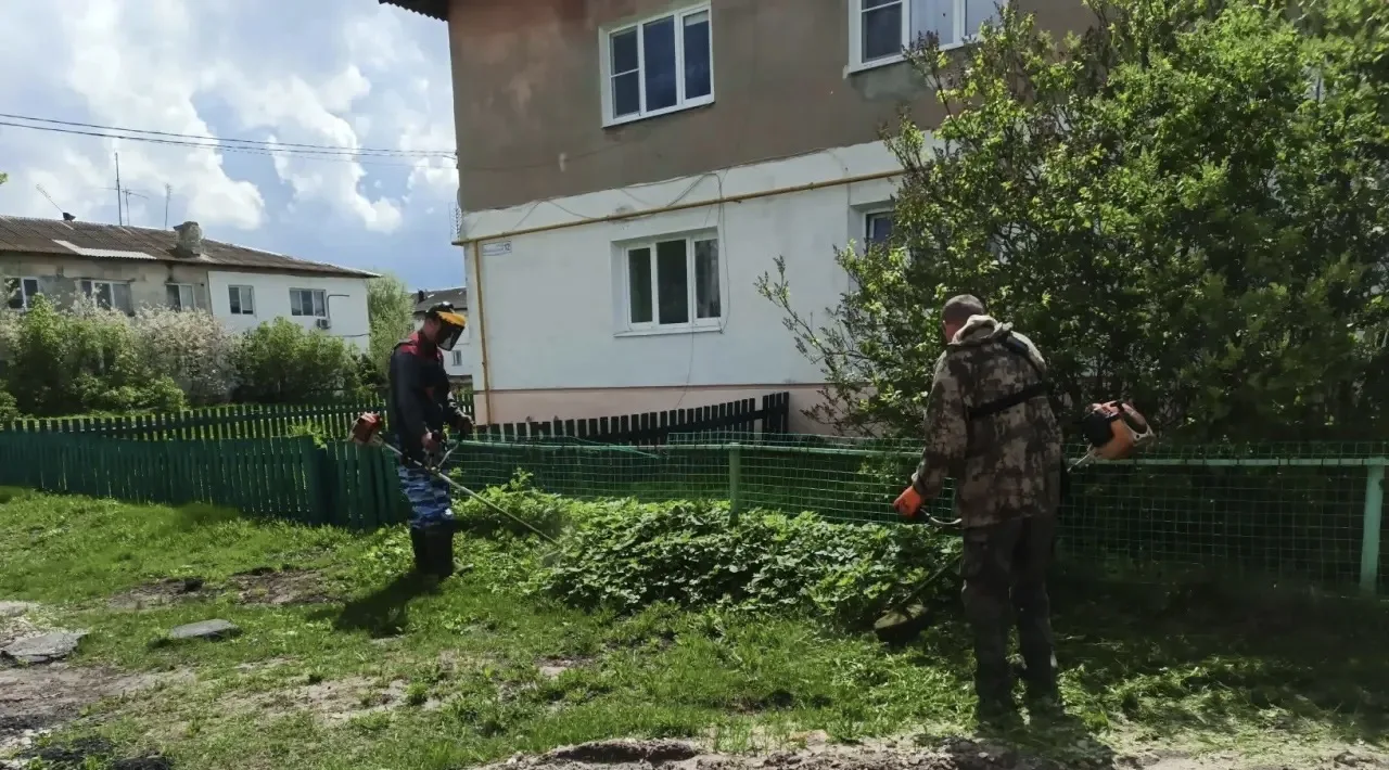 🌿Весна дарит нам знакомый с детства аромат — головокружительный запах свежескошенной т...