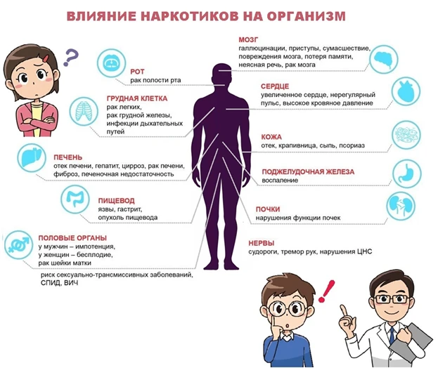 Влияние наркотиков на риск развития рака
С 22 по 28 июня в Краснодарском крае проходит тематическая 