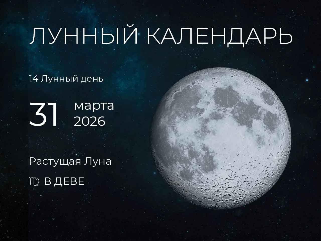 📆 Рекомендации дня: