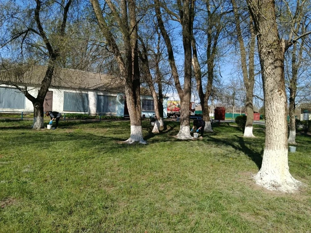 17 апреля работники Администрации, работники культуры, КД Орловского района приняли акт...
