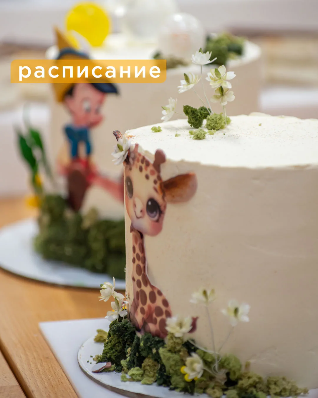 Лето уже почти на исходе, начинаем новый учебный год📝