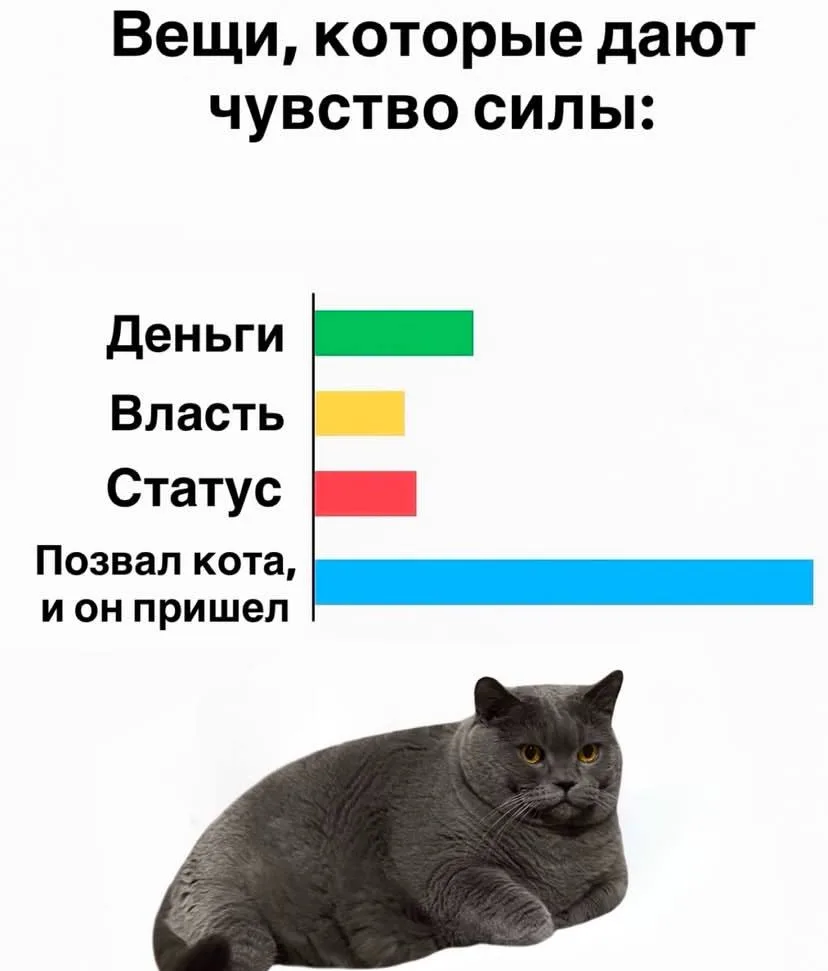 ПЕРВЫЙ МЕМНЫЙ
