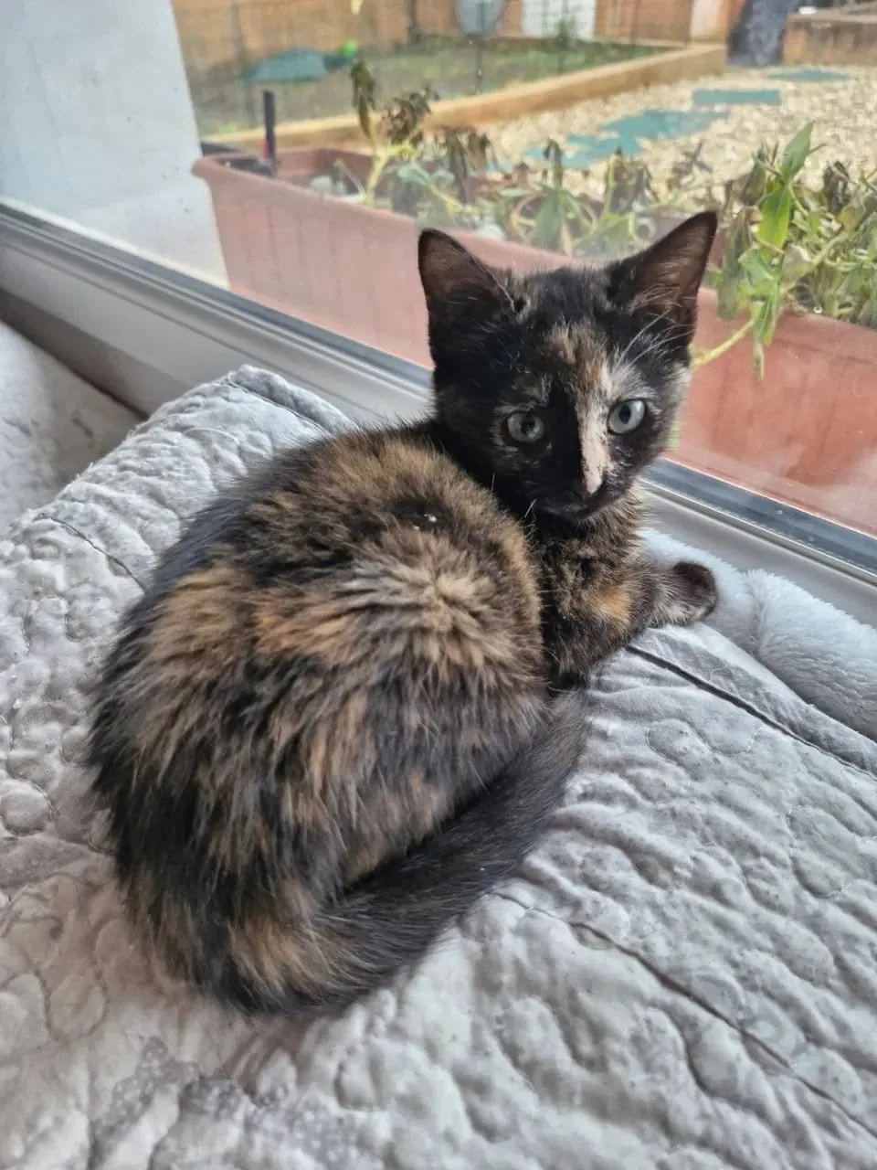 #КотикПодписчика 🥰