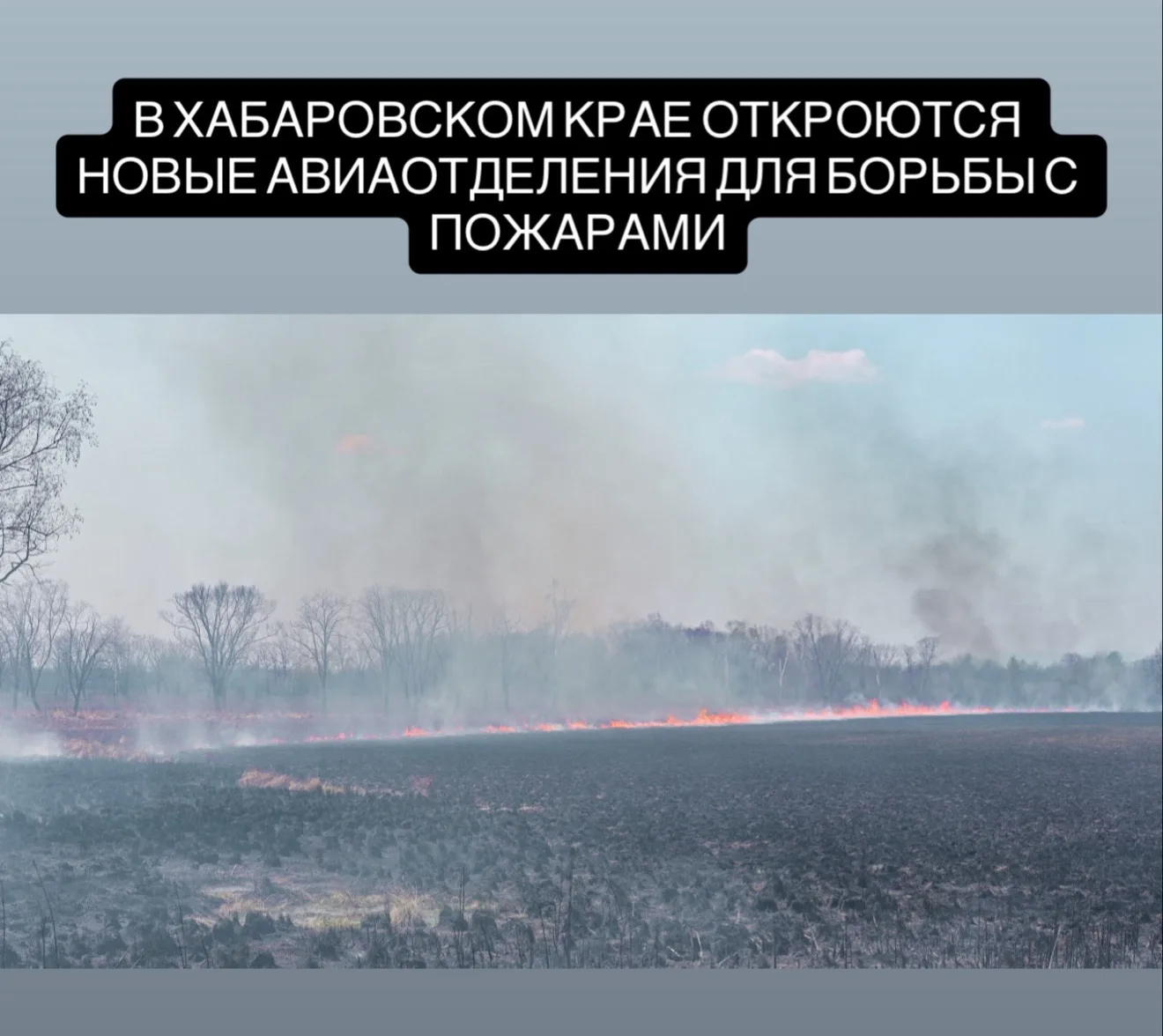До 2028 года на Дальнем Востоке планируют создать новые авиаотделения для борьбы с лесными пожарами,