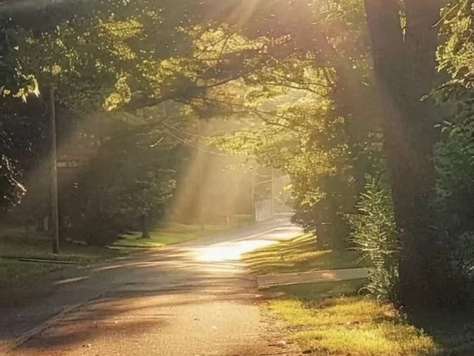 🌿 Доброе утро!