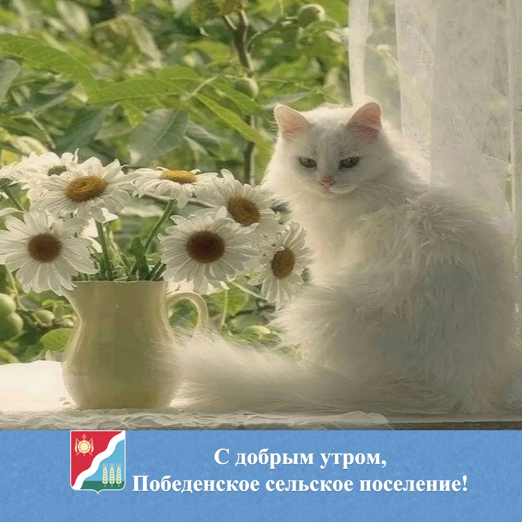 🌟 С добрым утром жители и гости Победенского сельского поселения!