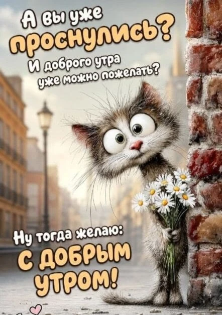 Всем доброе утро и хорошего дня 👋👋👋