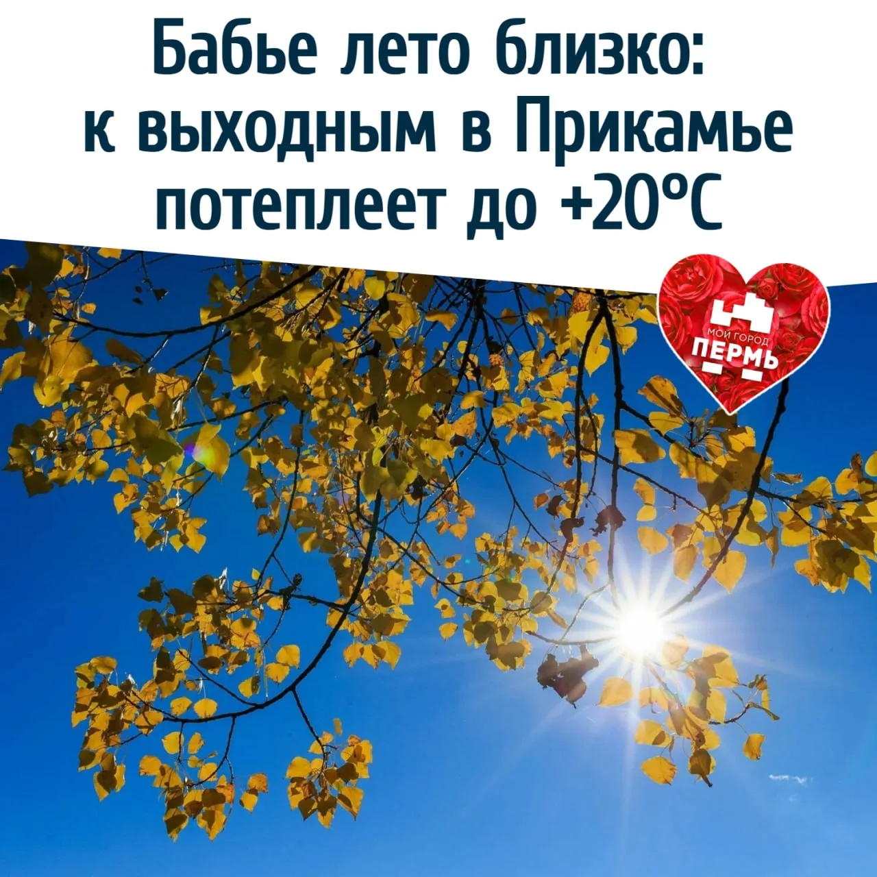 ☀️ Бабье лето близко: к выходным в Прикамье потеплеет до +20°С