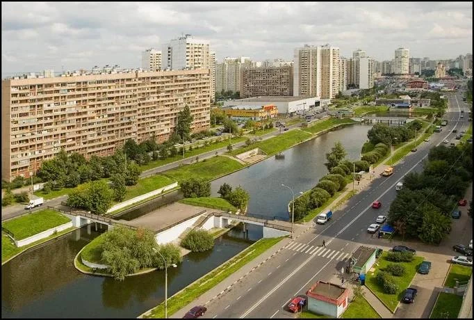 🐕 Марьино — рай для собачников: зелёные маршруты и площадки на каждом шагу
