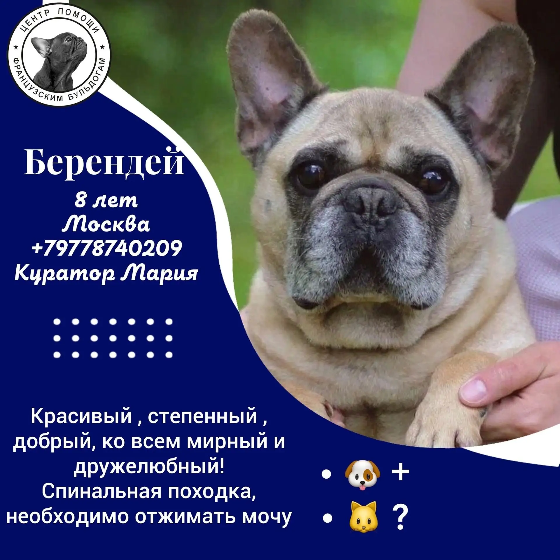 Вы так просили его забрать... А дальше? Кто готов протянуть руку Берендею? 🙏