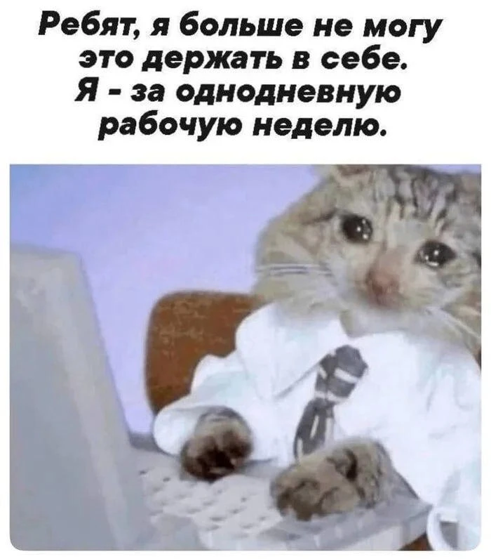 В 2027 году россиян на пятидневке ждет 118 выходных и нерабочих праздничных дней. При этом работать 