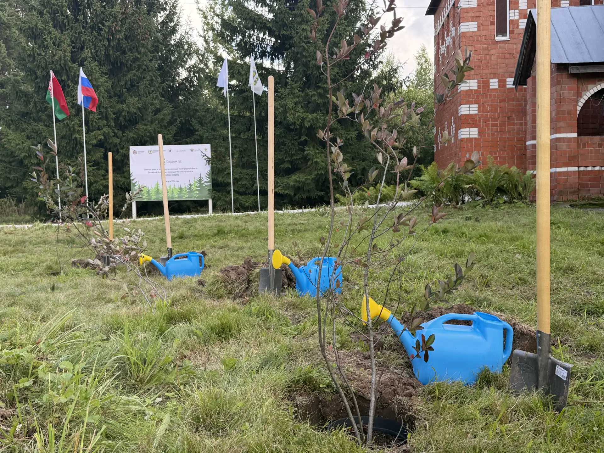 🌱 В Богородском округе прошла памятная посадка деревьев в рамках всероссийской акции «...