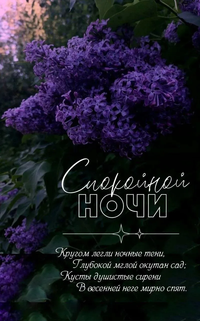 Доброе утро | Подпишись👇🏻