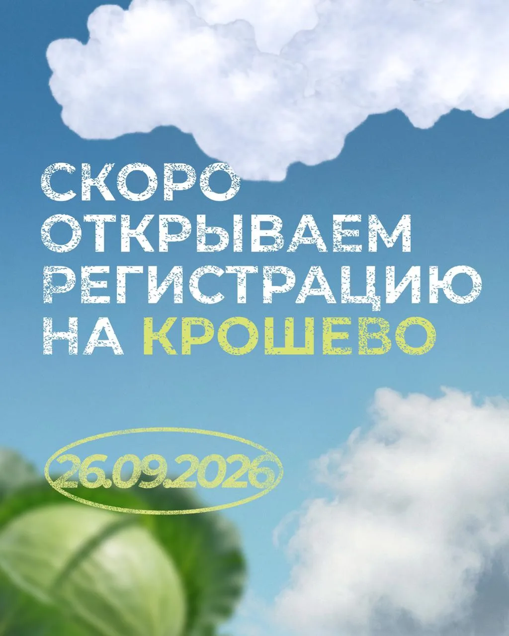 ВАЖНОЕ ОБЪЯВЛЕНИЕ 🥬