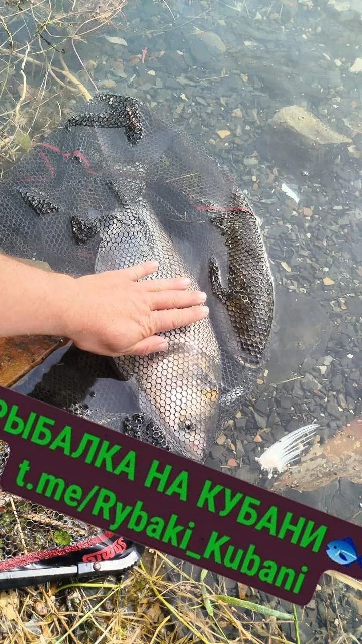 13.06
Рыбалка Абрау Дюрсо

▶️ РЫБАЛКА НА КУБАНИ в MAX
▶️ РЫБАЛКА НА КУБАНИ в ТГ
▶️ КАРТА РЫБАКА КУБА