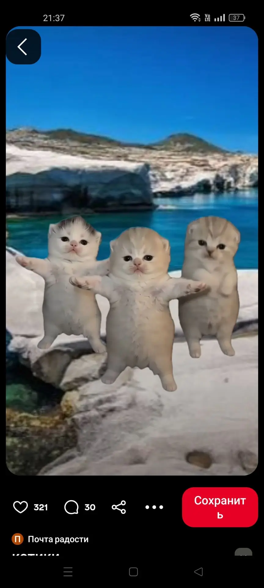 Мне кажется, этот тренд знают все🤣❤️