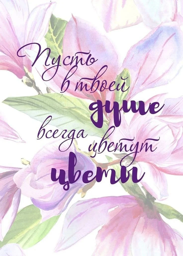✨❤️❤️❤️🍬✨

ДЛЯ ДУШИ! 🦋