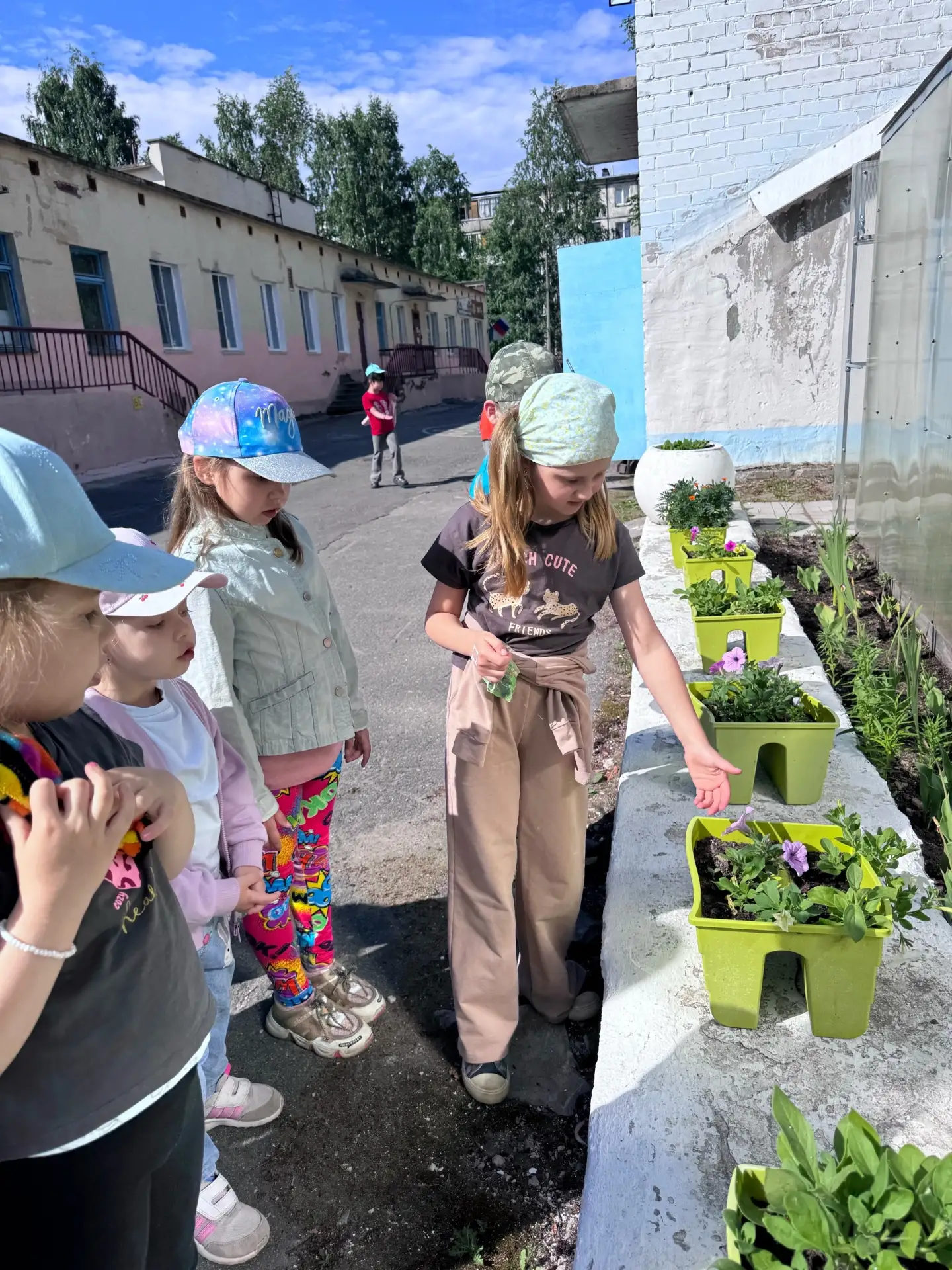 🌿 Чудо-теплица в нашем детском саду: от семечки до тарелки 🍅

Мы хотим рассказать вам, как здорово