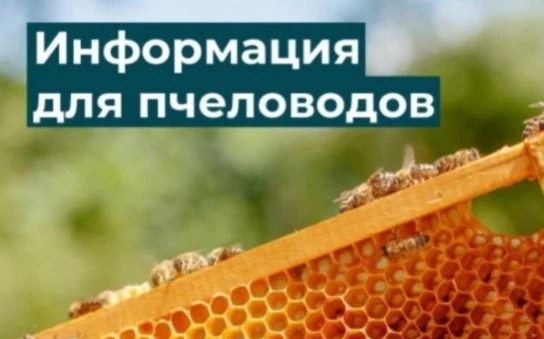 Общество с ограниченной ответственностью «Оратай» 
(ООО «Оратай») 
ИНН: 5432102062 
КПП: 543201001 
