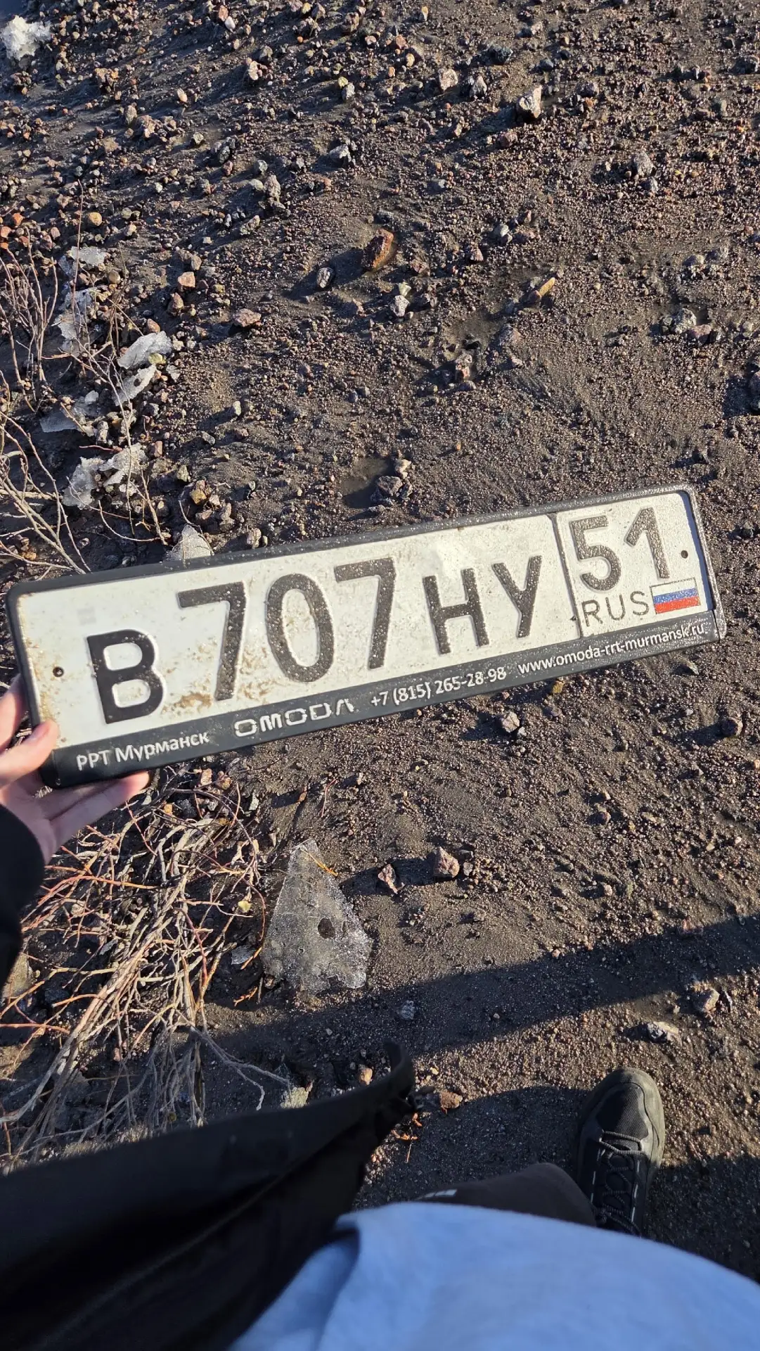 Нашёл в териберки