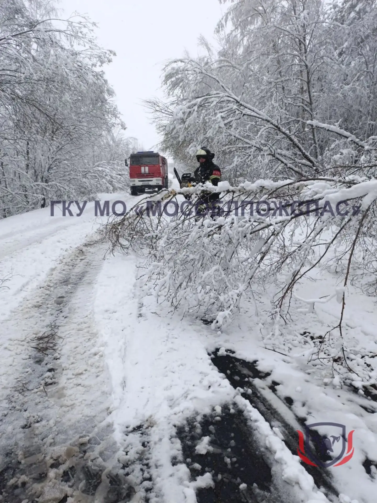 ❄️Оборванные провода, деревья на трассе. Спасатели продолжают ликвидировать последствия снегопада 🚨 