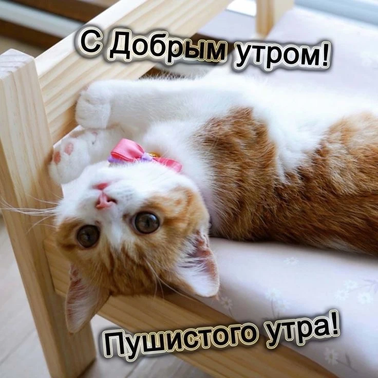КРАСИВЫЕ ОТКРЫТКИ ТУТ💖
