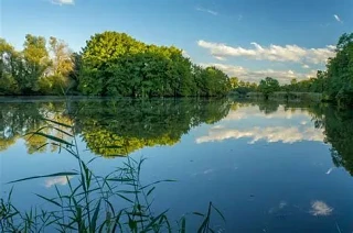 Спасти удалось лишь двоих: больше 10 человек утонули в водоемах Кузбасса с начала летнего сезона

Сп