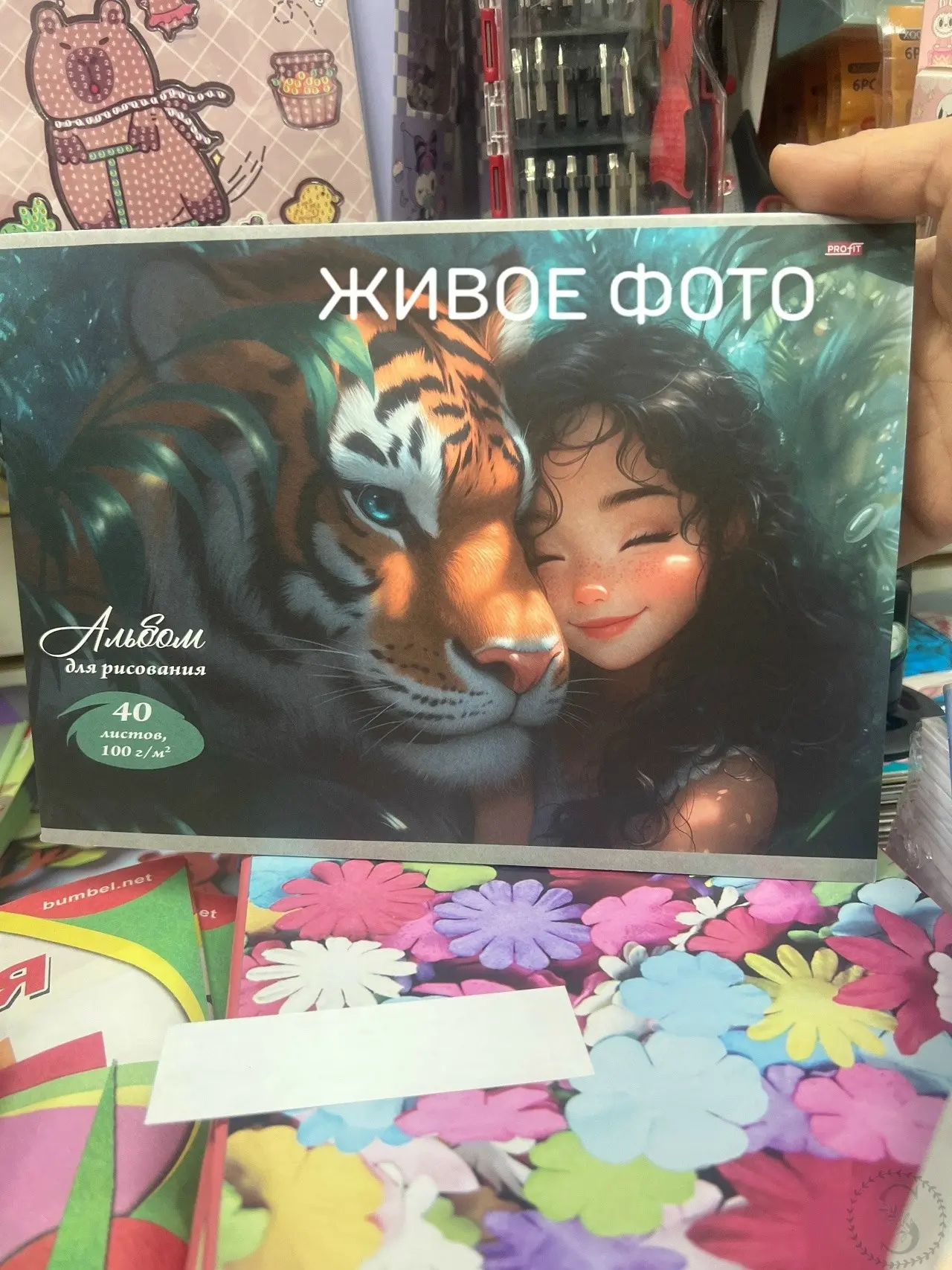 https://vk.com/photo-184814919_492895404
