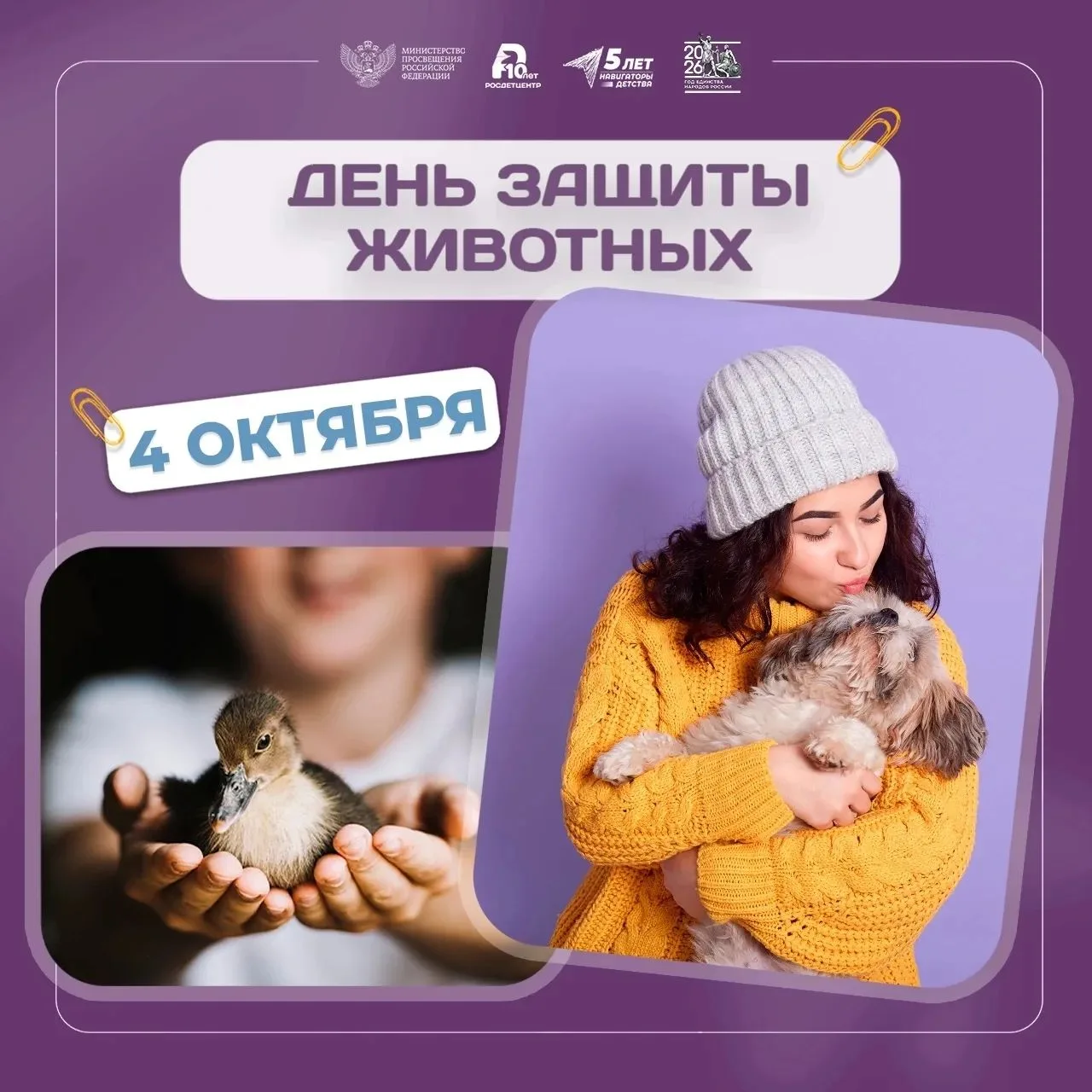 4 октября, начиная с 2000 года, в России отмечается Всемирный день защиты животных.