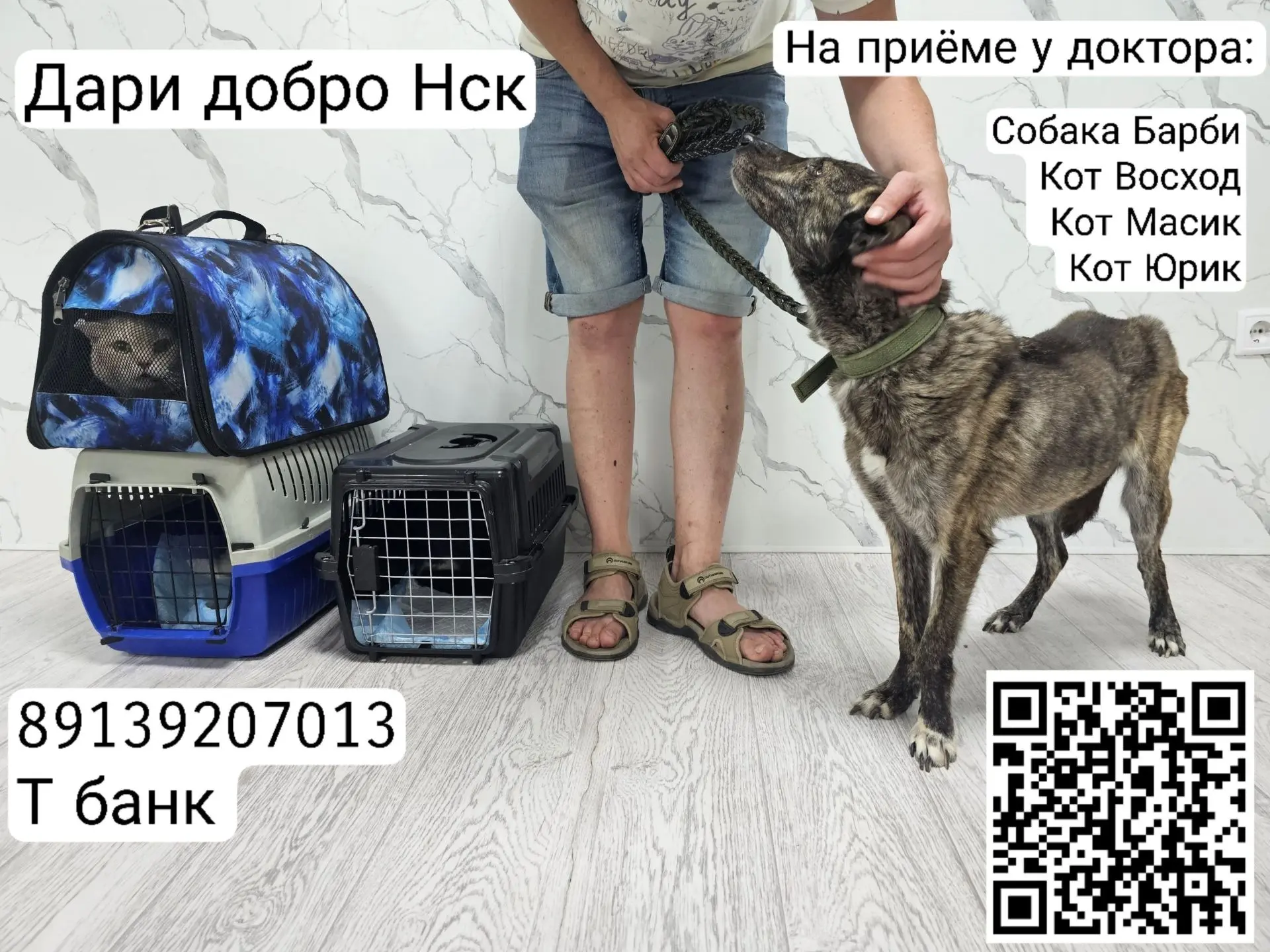 На приёме у доктора сегодня животные которые стали ухудшаться.