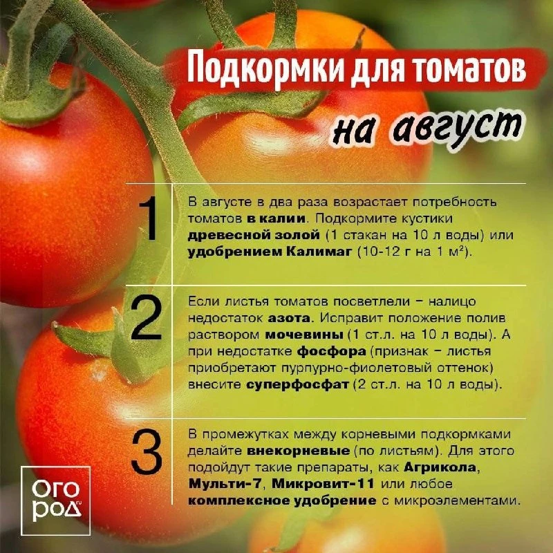 БЕРЕМ НА ЗАМЕТКУ✍💦🍅

🌱 Дача Сад Огород подписаться