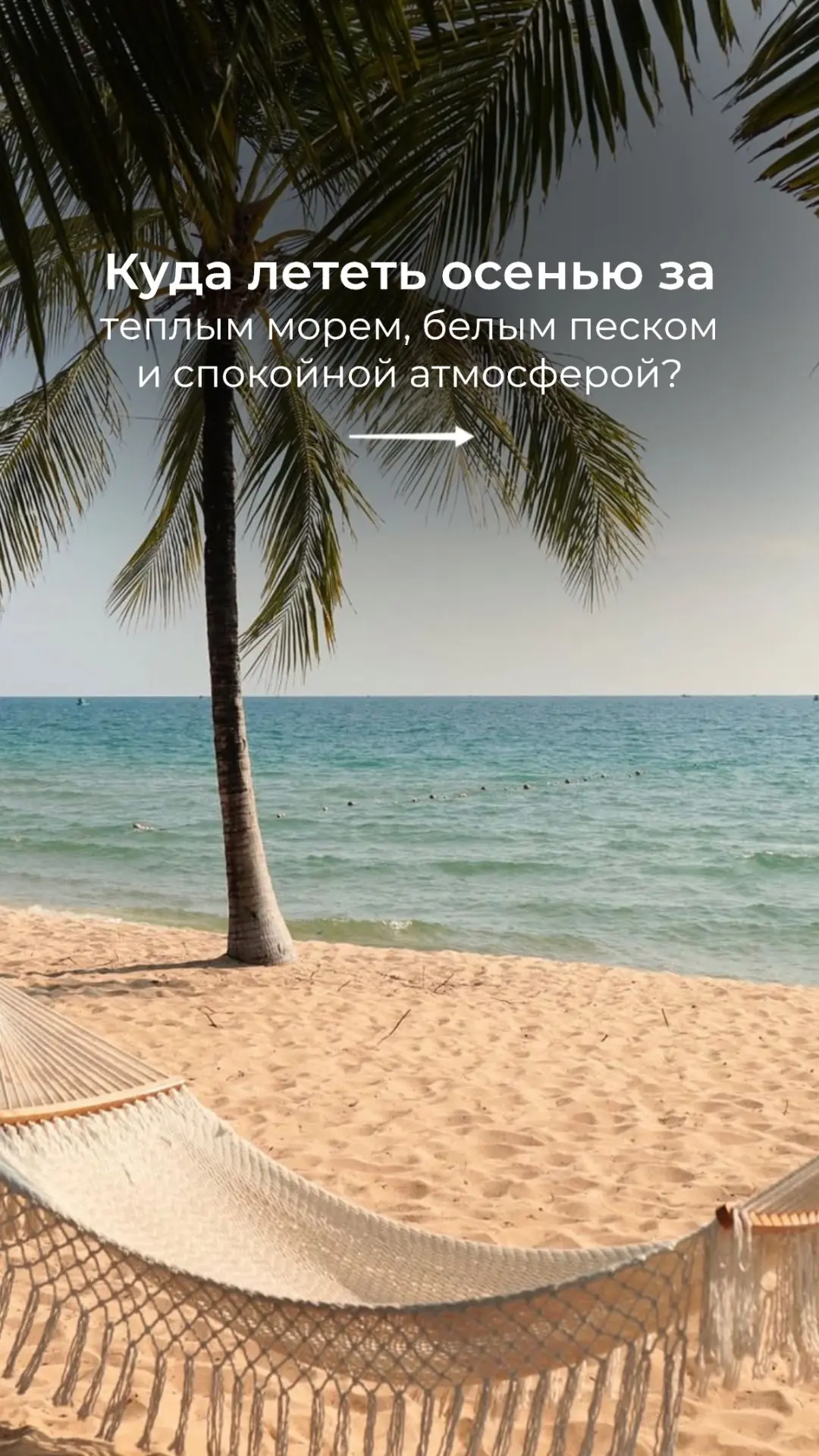 Готовые предложения!