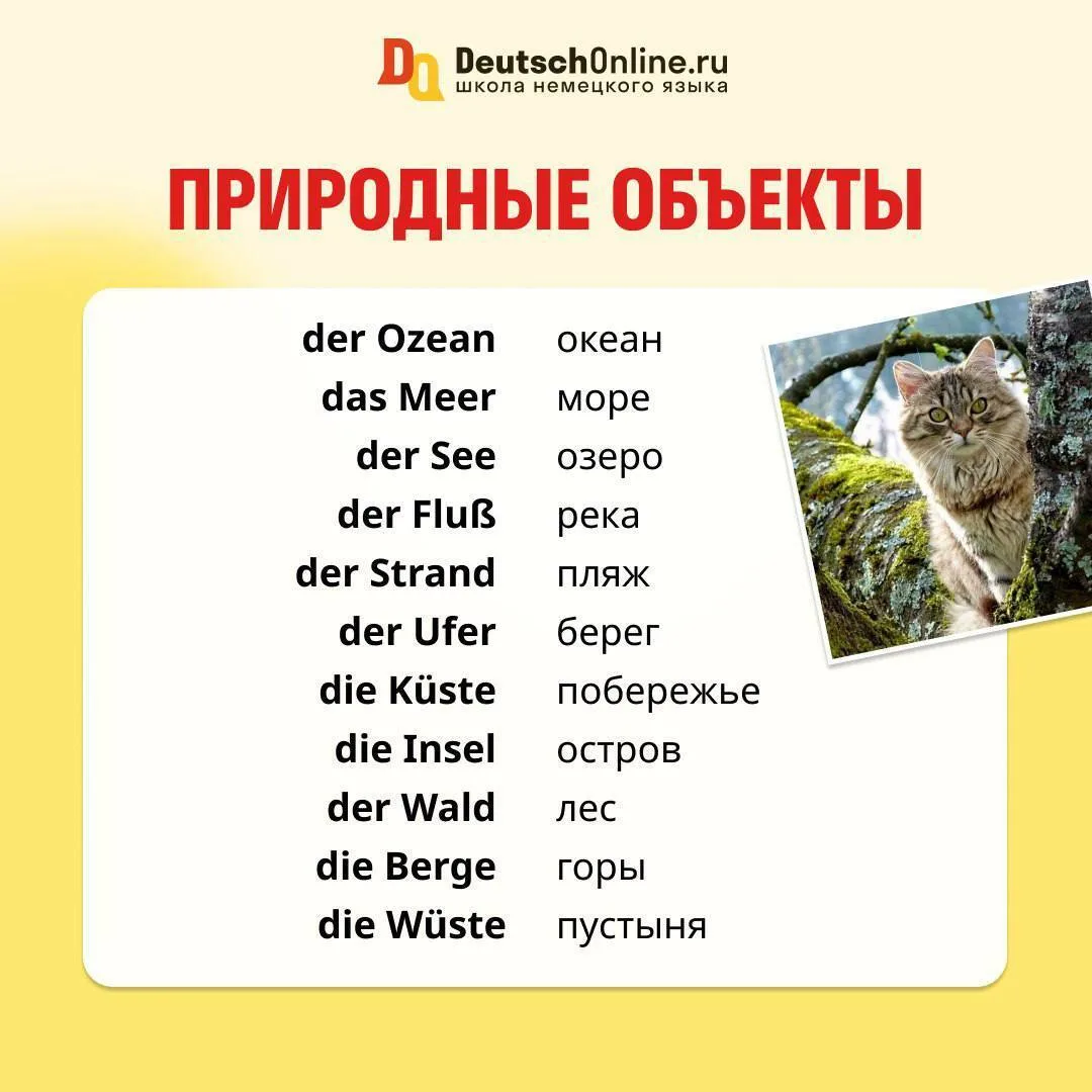 🌍 Немецкий словарный мир: от океана до пустыни

Хотите описывать природу по-немецки так же легко, к