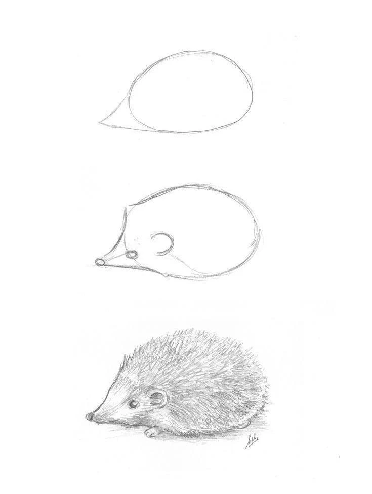 Рисуем ежика 🦔