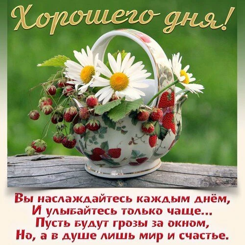 ЖИВЫЕ ОТКРЫТКИ🫶🏻
Подпишись👈