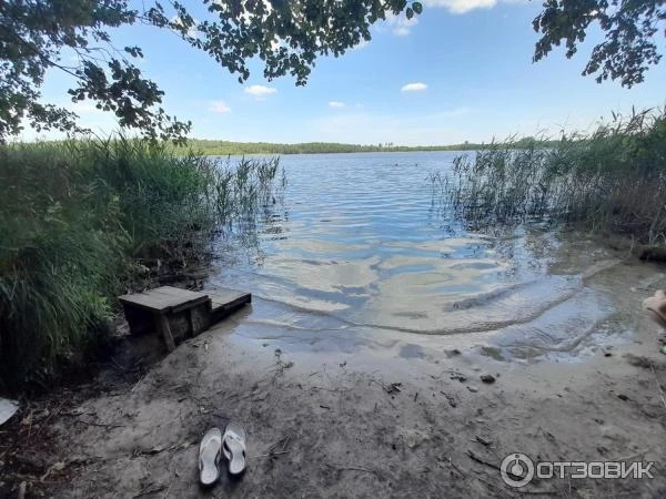 Прокуратура нашла нарушения режима охраны Сегденского озера

Прокуратура выявила нарушения режима ос