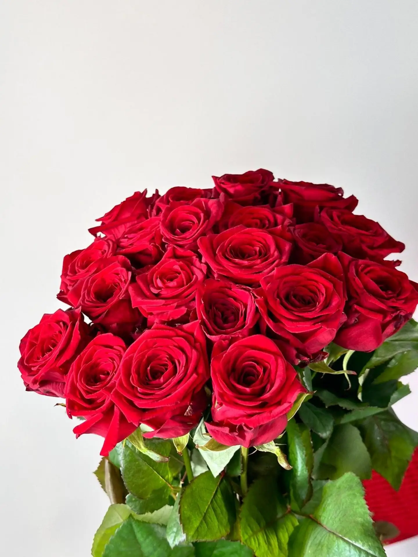 🌸 Свежее поступление