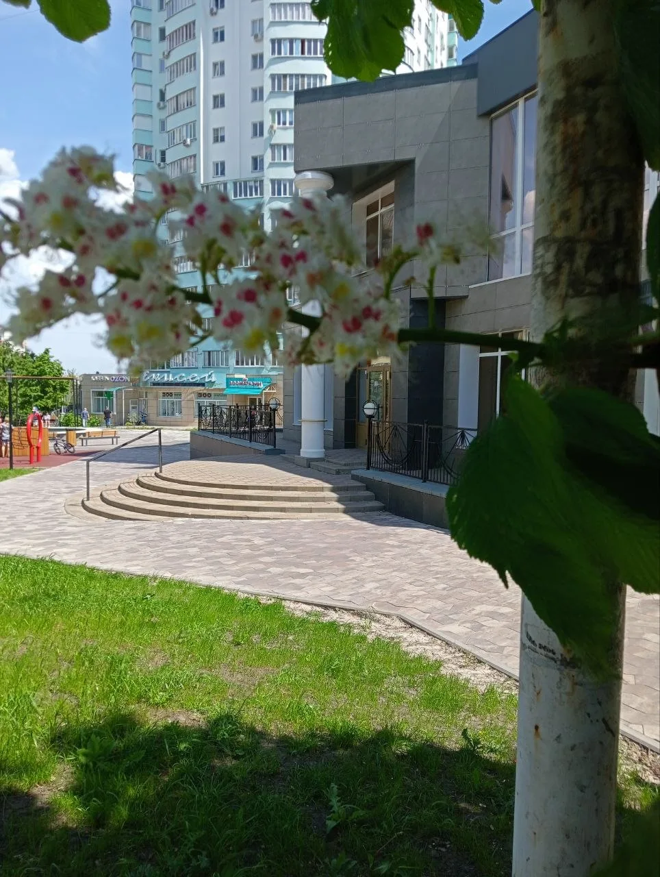 Сегодня в Белгороде и пригороде жарко: воздух прогреется до +26 градусов, дождей не ожи...