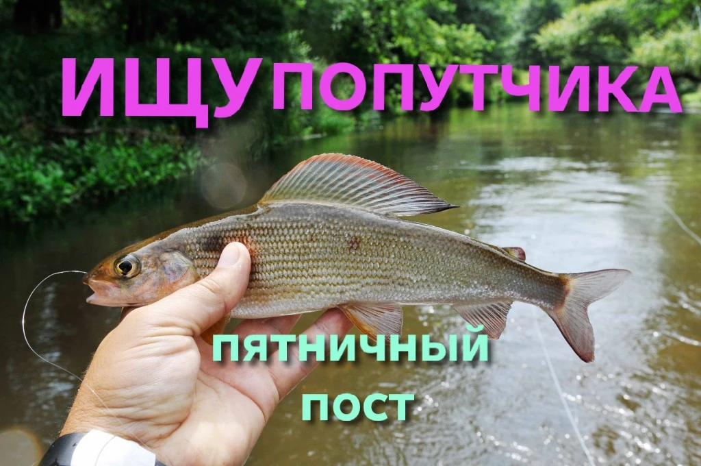 Пост действует всю неделю