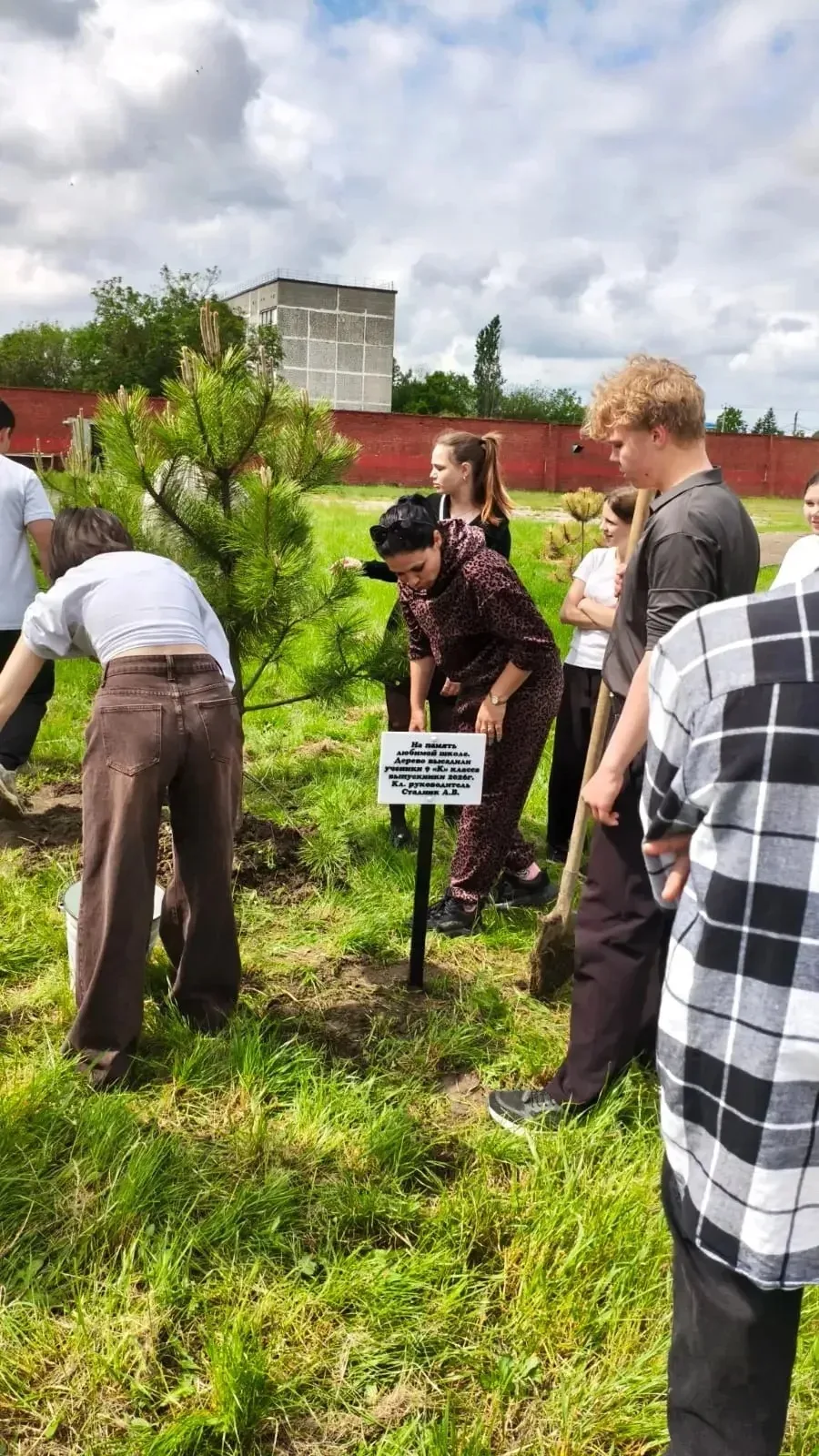 🌳 Продолжаем традицию 9 «К»: дерево любимой школе!  В минувшую субботу выпускники 9 «К» класса продо