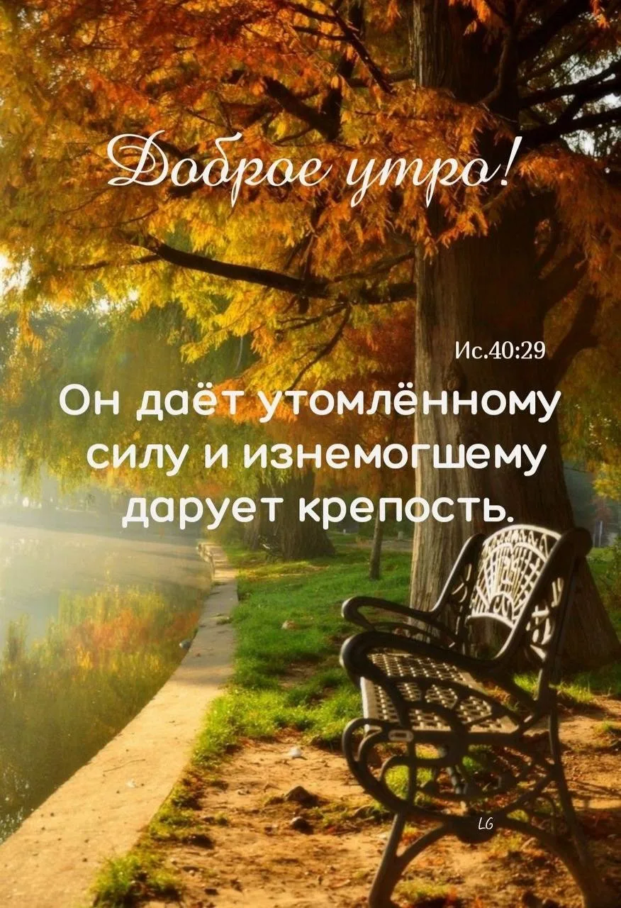 ❤️❤️❤️❤️Открытки❤️❤️❤️❤️