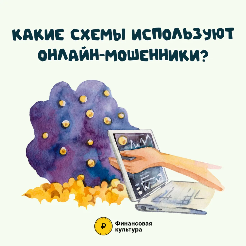Как защититься от мошенничества в сети? 🌐