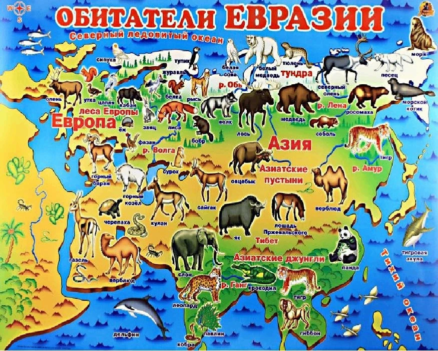Подготовка к ВПР. Природные зоны России   Карточки для скачивания прикрепили выше 👆