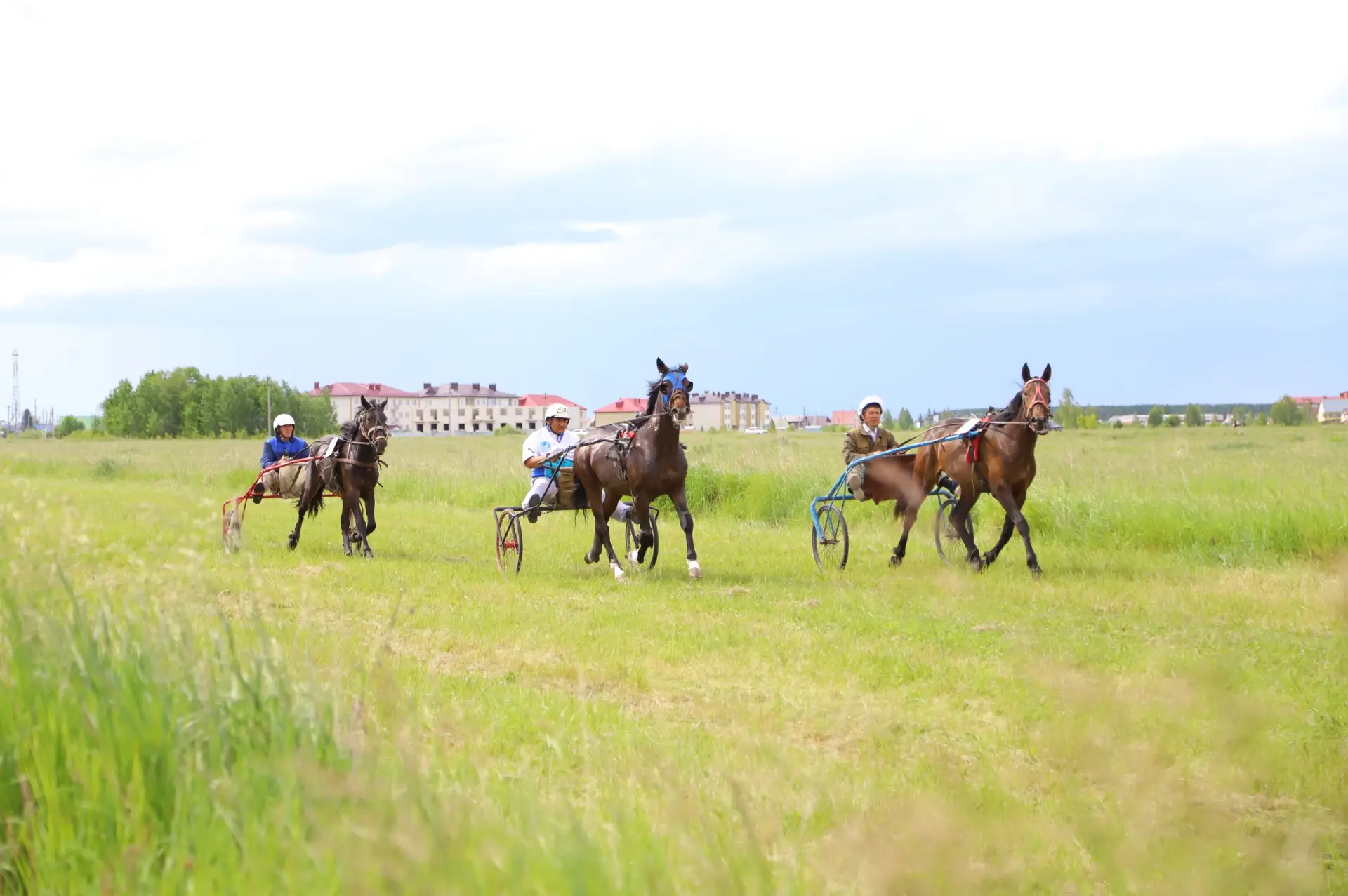 🐎 Соревнования по конному спорту, посвящённые Году единства народов России и Дню России, состоялись