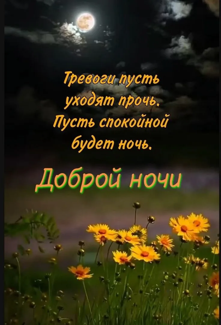 🌼Прикольные открытки