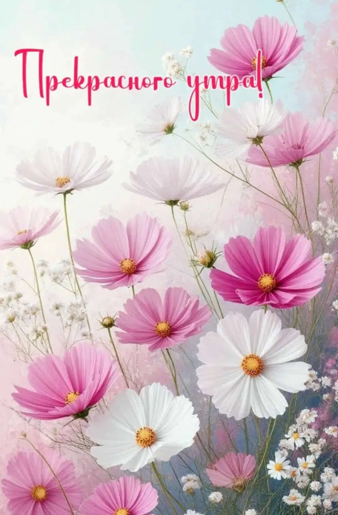 Мои дорогие, доброе утро💖🌺🤗!!