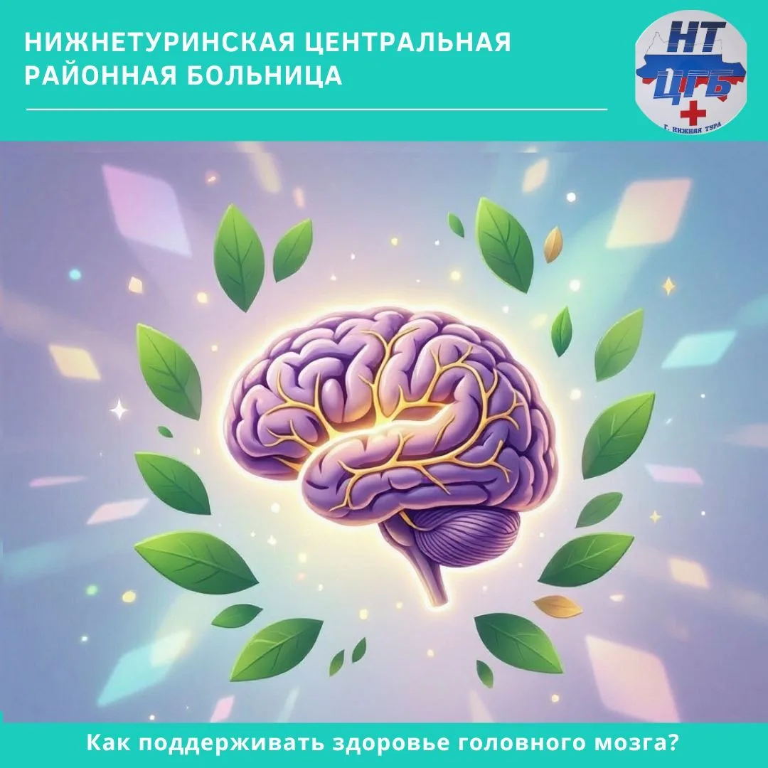 🧠 Текущая неделя посвящена сохранению здоровья головного мозга

Поддержание его высокой работоспосо