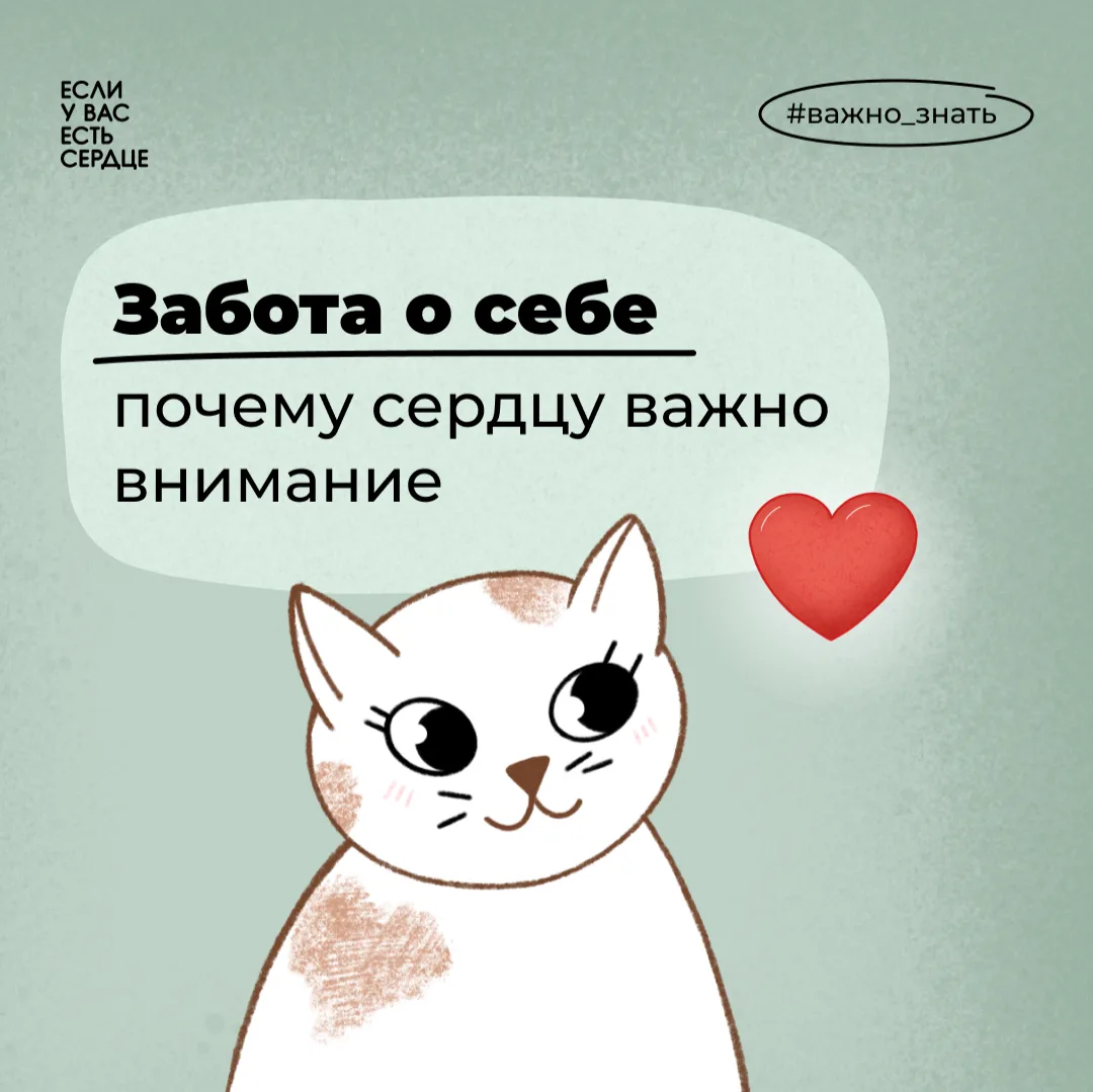 29 сентября — Всемирный день сердца.
